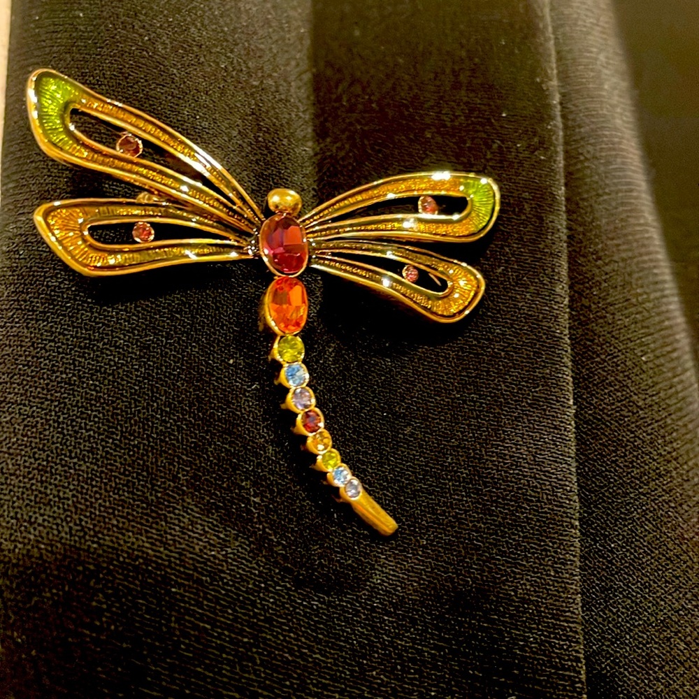 Firefly brooch. Multiple colored stones on body